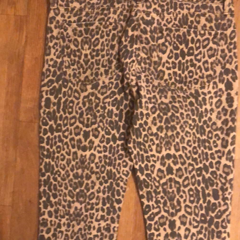 ππ½ππΌππ» Leopard Jeans - Picture 7 of 7